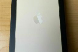 Apple iPhone 13 Pro Max - 256GB - Sierra Blue, Gold (Unlocked)